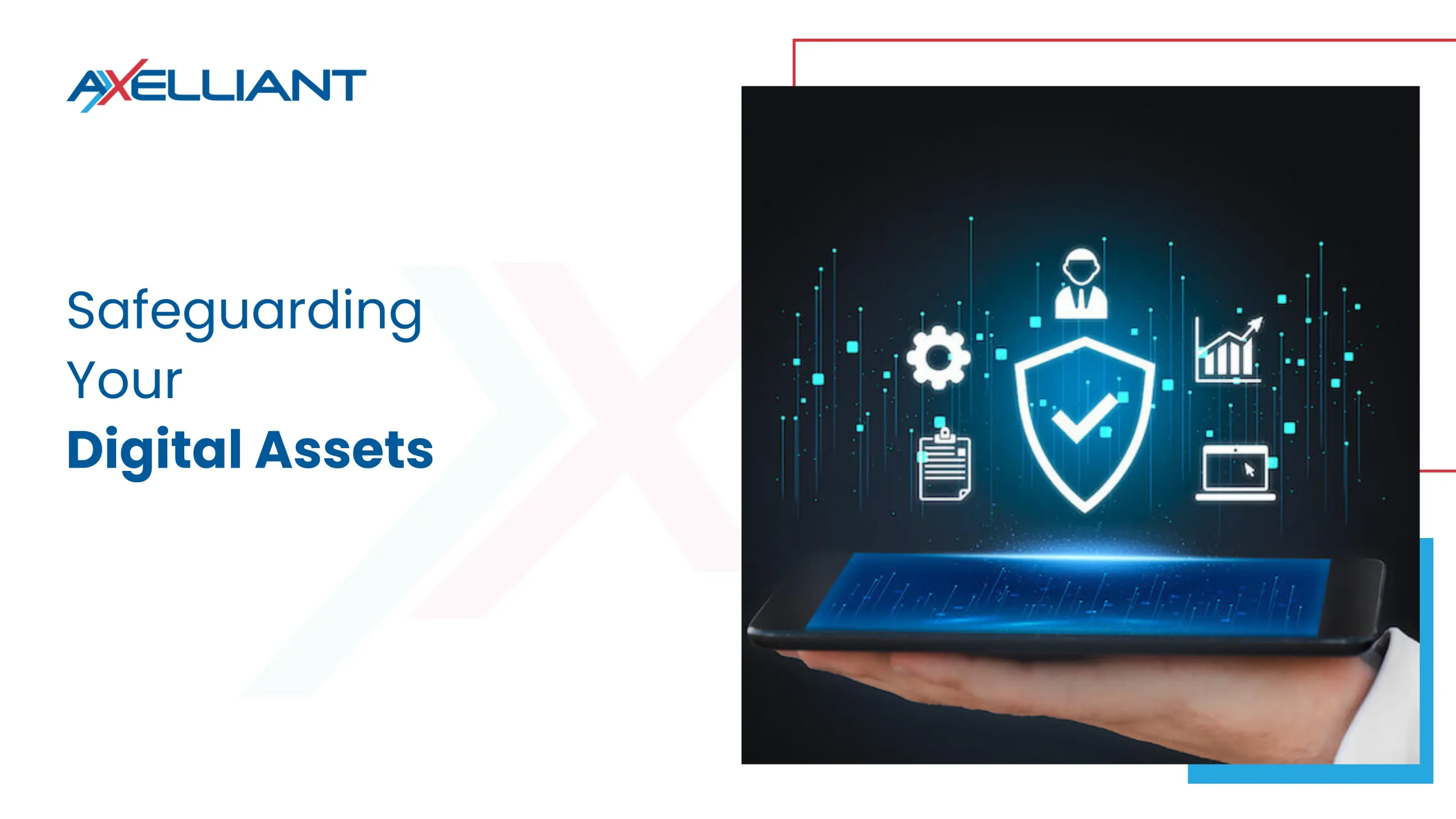 Safeguarding Your Digital Assets